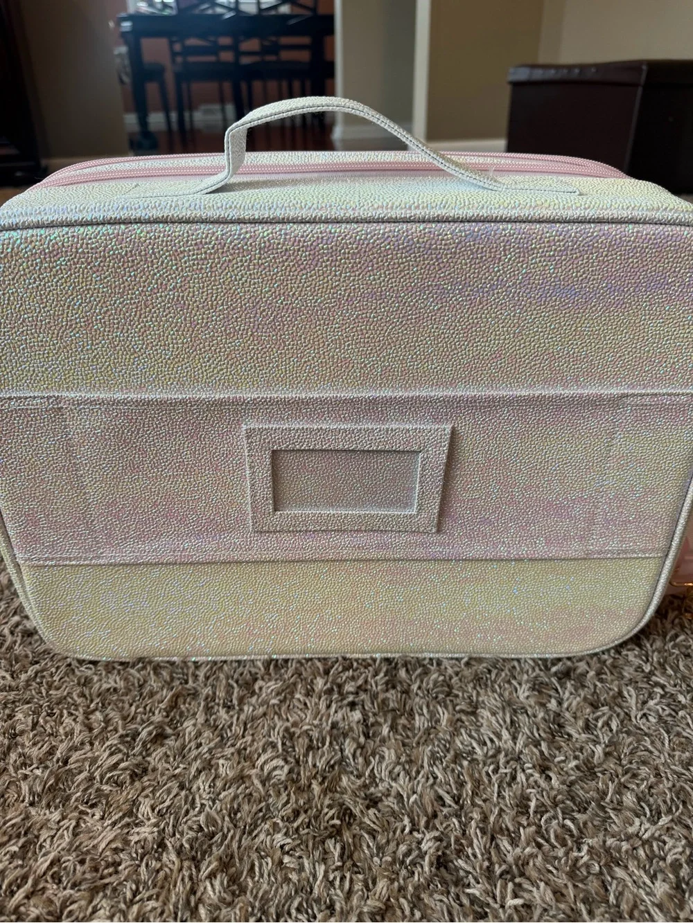 Young Nails Iridescent Pink Nail/Makeup Train Case